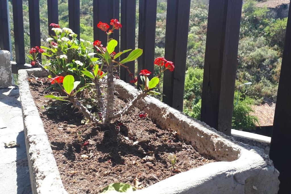 Casa Tia Rosa. Villa Costa Adeje  Buitenkant foto